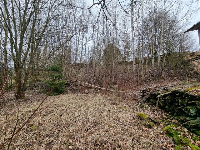 Grundst Ck Kaufen In Frankenblick Ot Rauenstein Vertragsfreies