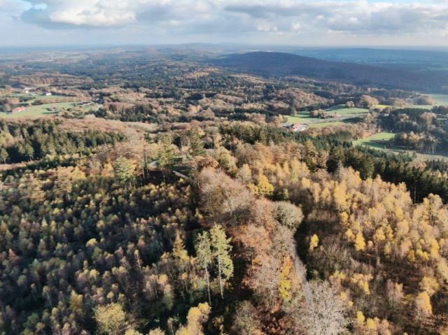 Grundstück Kaufen In Georgsmarienhütte OT Oesede: Vertragsfreie ...